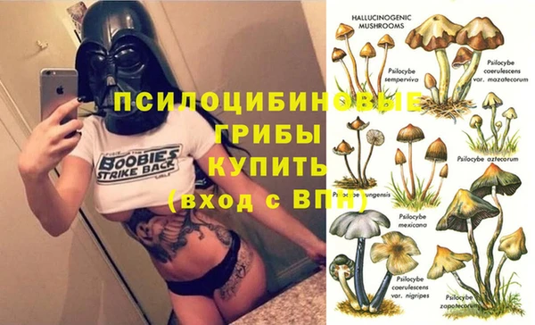 альфа пвп Липки