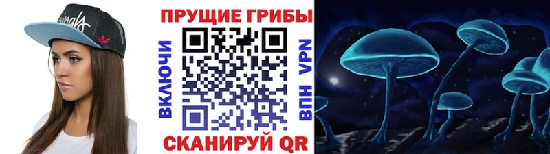 что такое   Благодарный  Псилоцибиновые грибы Magic Shrooms 