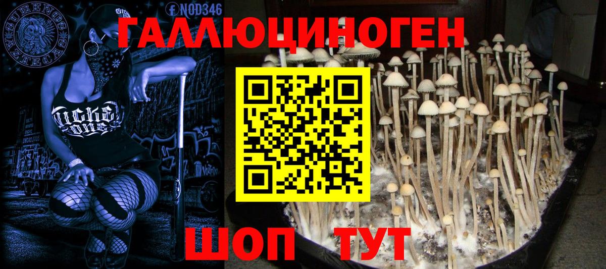 Галлюциногенные грибы Magic Shrooms  Галлюциногенные грибы Psilocybine cubensis  Благодарный 