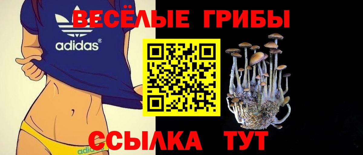 Псилоцибиновые грибы MAGIC MUSHROOMS Благодарный